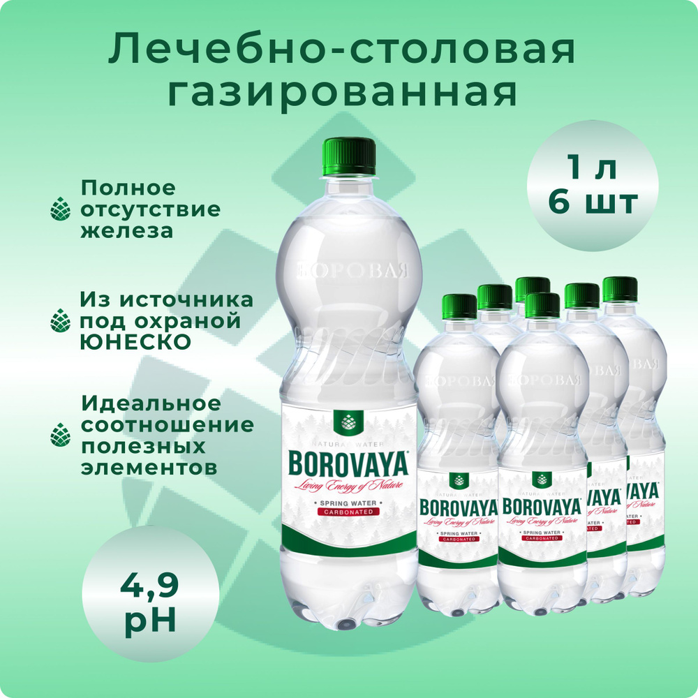 Вода минеральная БОРОВАЯ лечебно-столовая газированная, пэт 1 л х 6 шт  #1