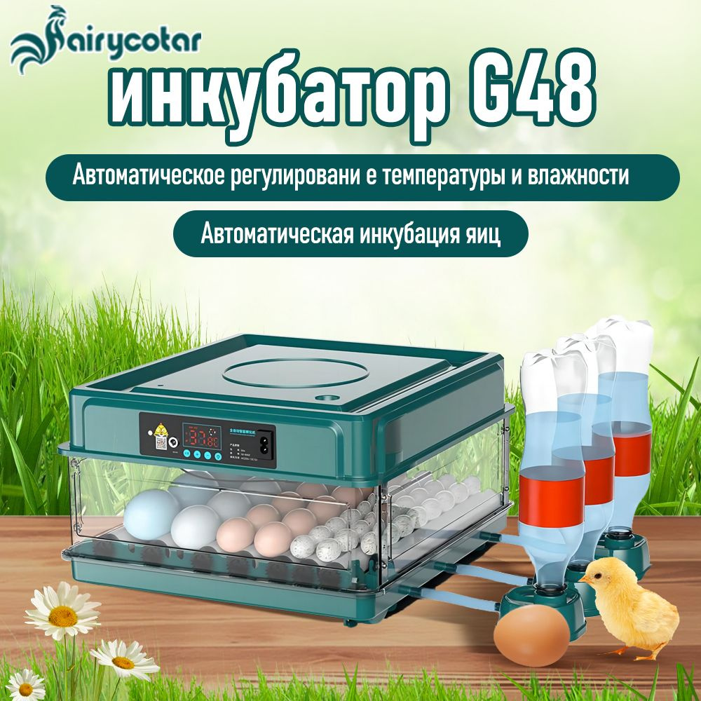 Инкубатор для яиц купить на OZON по низкой цене (1893685906)