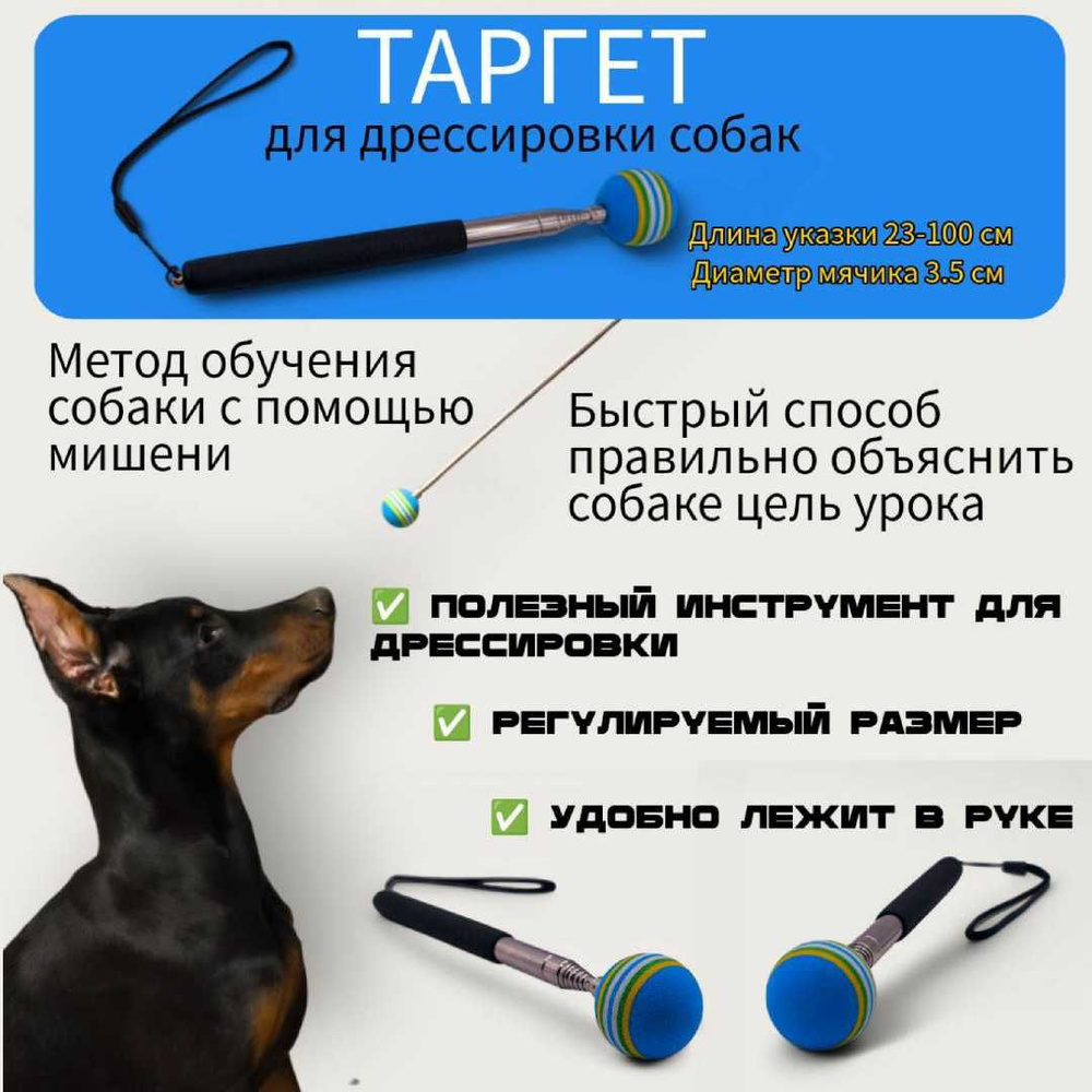 Таргет - указка для дрессировки собак с мячиком купить на OZON по ...