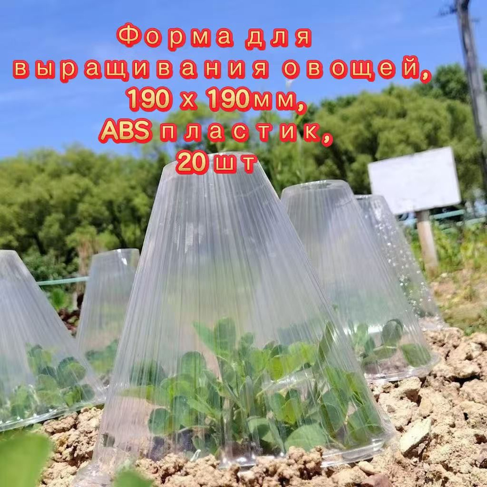 Форма для выращивания овощей, ABS пластик, 20 шт купить c доставкой на ...