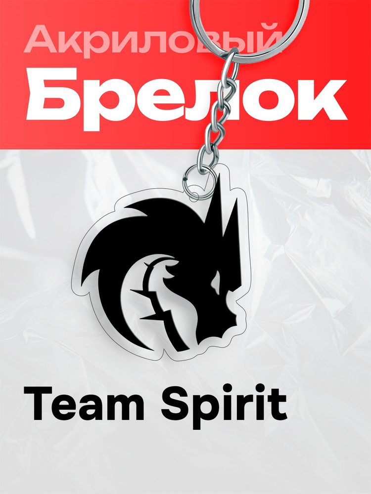 Брелок на ключи CS GO Team Spirit купить на OZON по низкой цене ...
