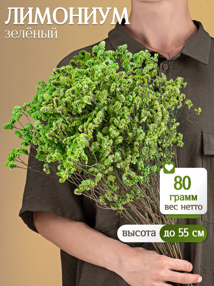 Цветы лимониума зеленые 80 г, сухоцветы от Elka.bio #1