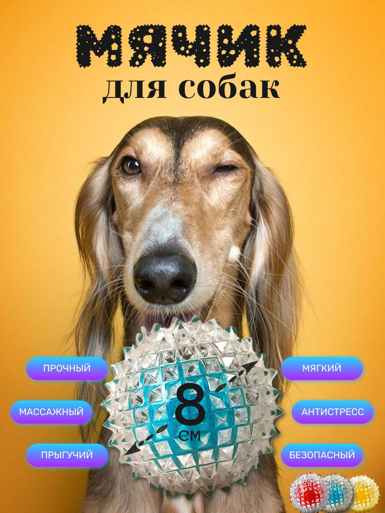 Мяч для собак #1