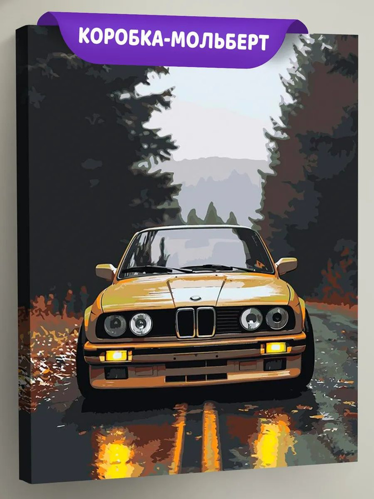 Картина по номерам на холсте с подрамником 40x50 "Машина BMW на дороге в лесу" автомобиль #1