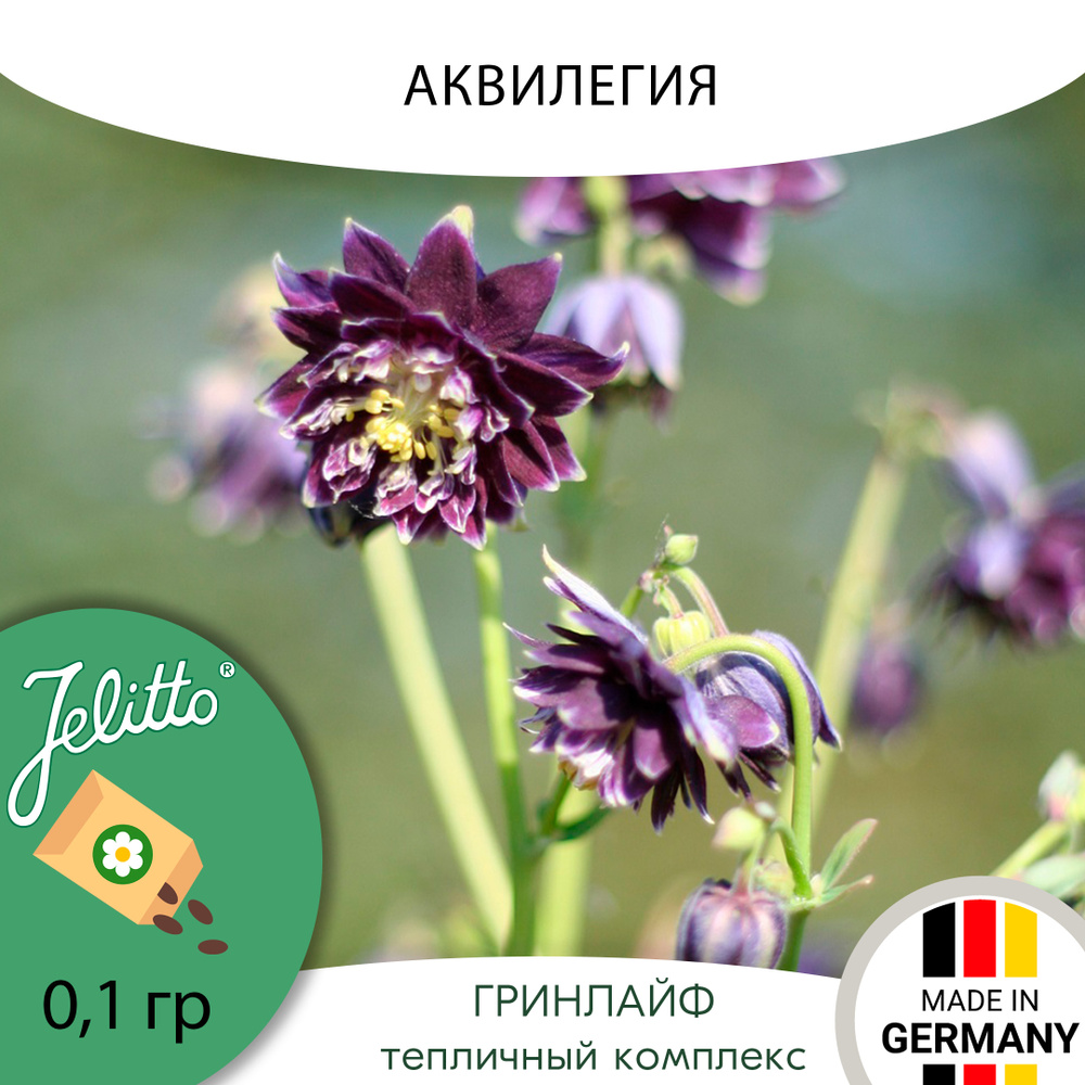 Семена Jelitto Аквилегия (AQUILEGIA vulgaris var. stellata plena Barlow-Series 'Christa Barlow') 0,1 #1