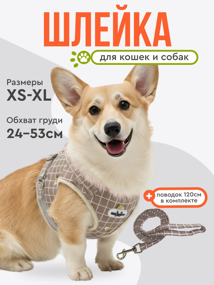 бежевый #1