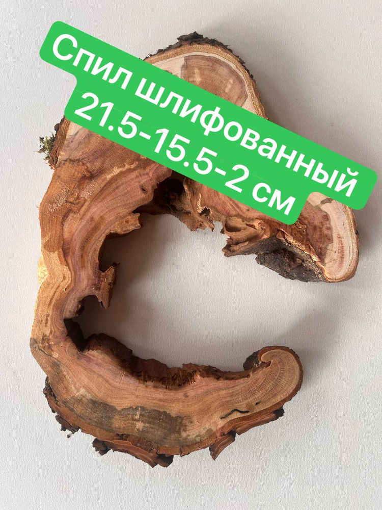 спил из дерева #1