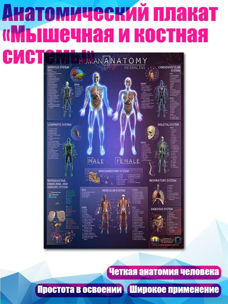 Постер #1