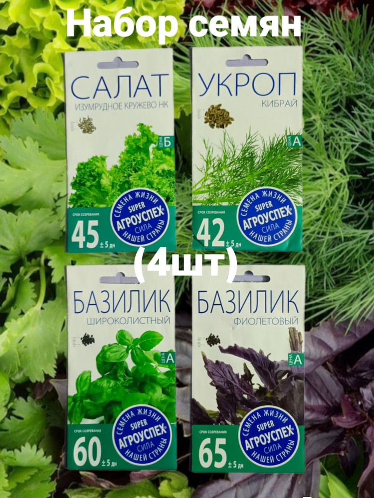 Семена ,4шт #1