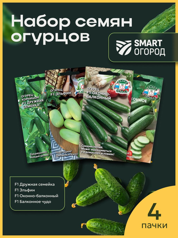 Огурцы №5 #1