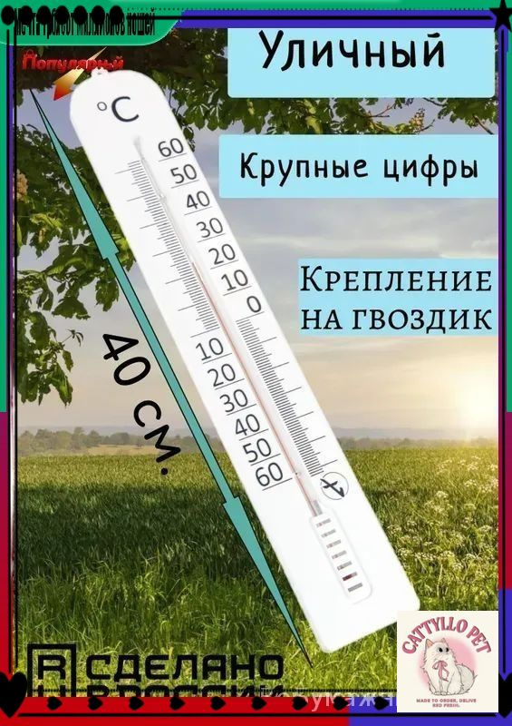 Термометр #1