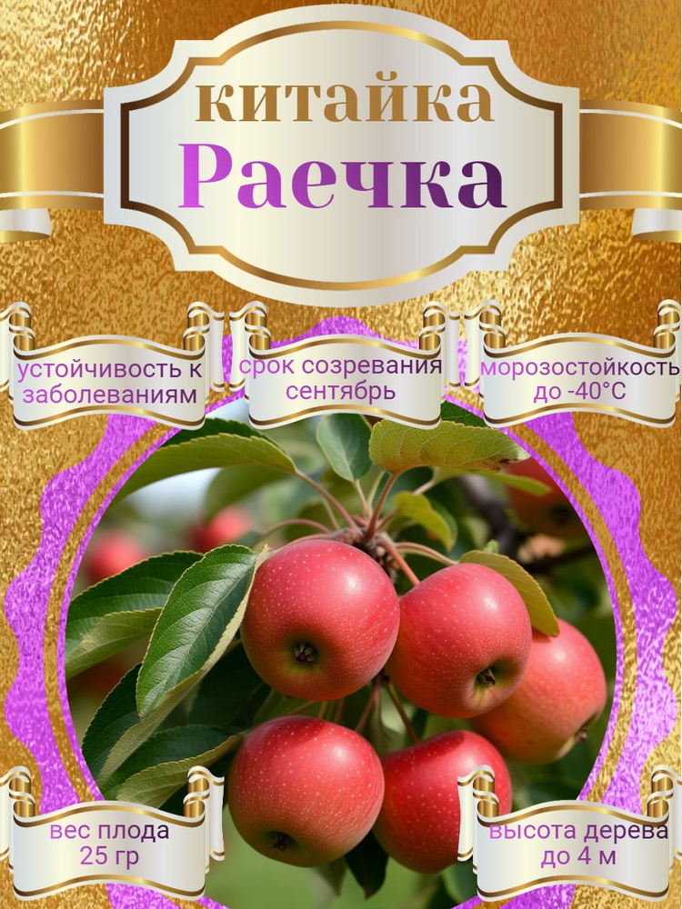 Китайка "Раечка" #1