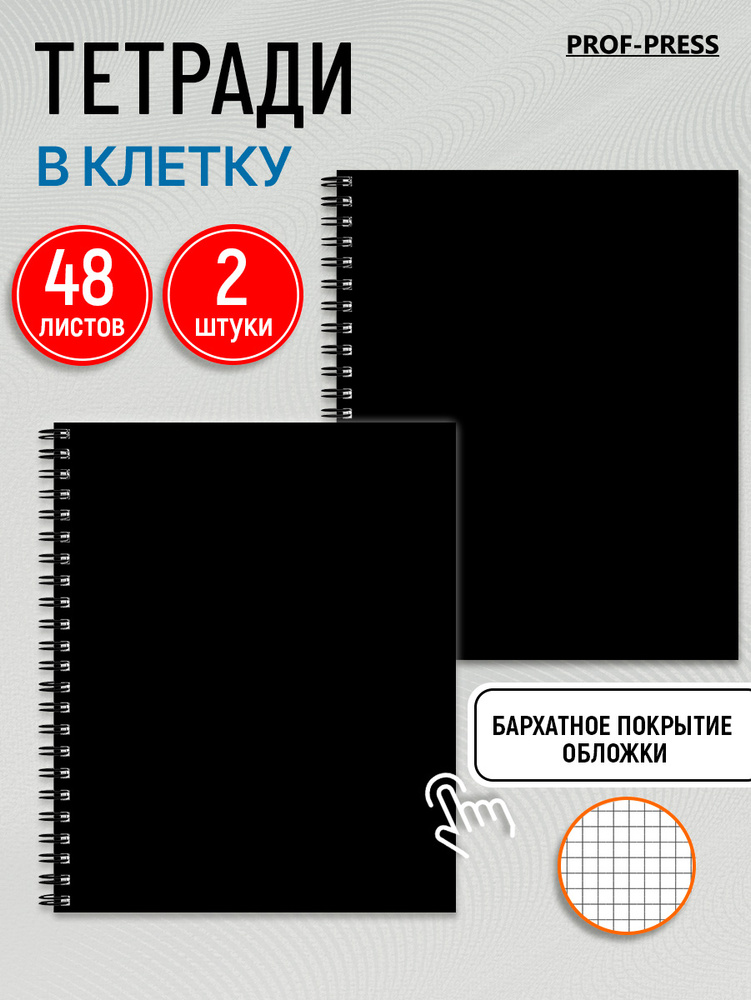 Тетрадь 48 листов в клетку Prof-Press, набор 2 штуки #1