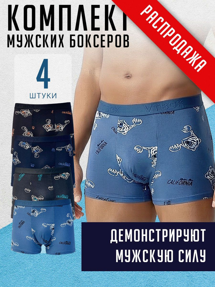Комплект трусов боксеры GHLDIN KLDIN Трусы мужские, 4 шт #1