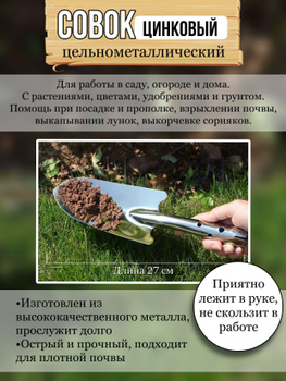 Россияне скупают технику для дачи, семена и садовый инвентарь - Российская газета