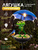 Winter Project Ideas For Preschoolers