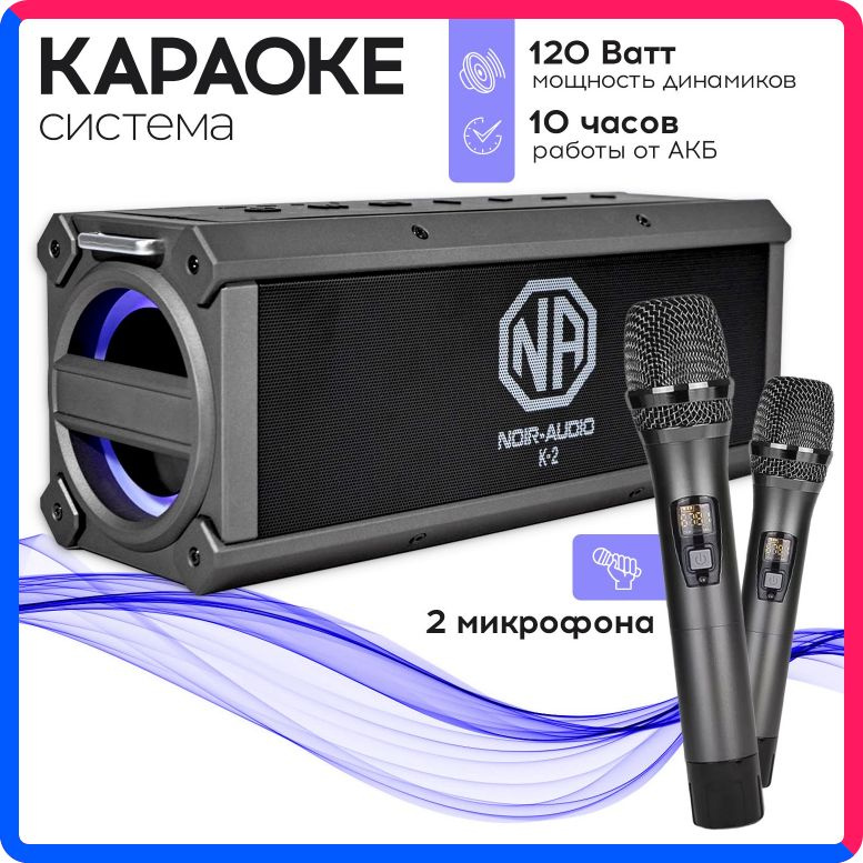 Купить по выгодной цене Караоке система NOIR-audio K-2 с двумя беспроводными микрофонами с доставкой