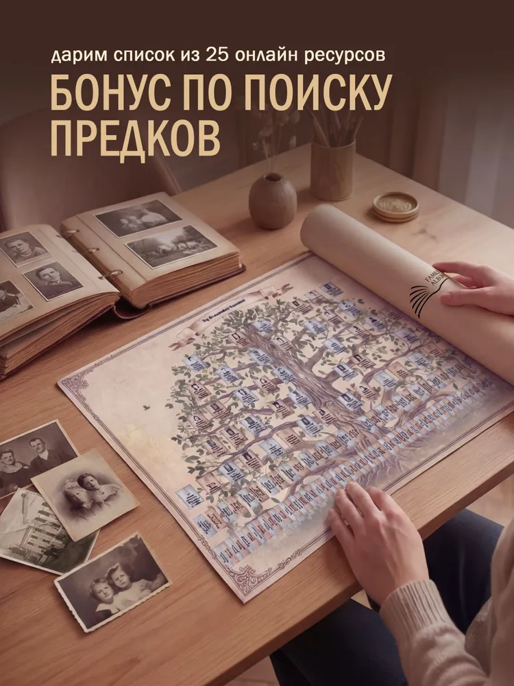 Семейное древо. Родословный плакат с наклейками., вариант, фото 5