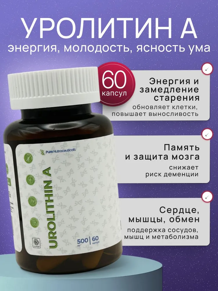 https://ir.ozone.ru/s3/multimedia-1-b/wc1000/7479110351.jpg
