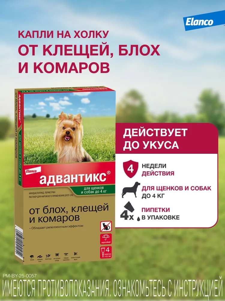 Адвантикс®  для собак весом до 4 кг для защиты от блох, иксодовых клещей и летающих насекомых и переносимых ими заболеваний. 4 пипетки в упаковке., 4 кг