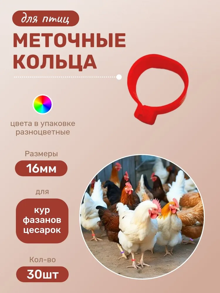 Меточные кольца для птиц, кур, фазанов, цесарок 16мм, 30шт, РАЗНОЦВЕТНЫЕ, 30 шт
