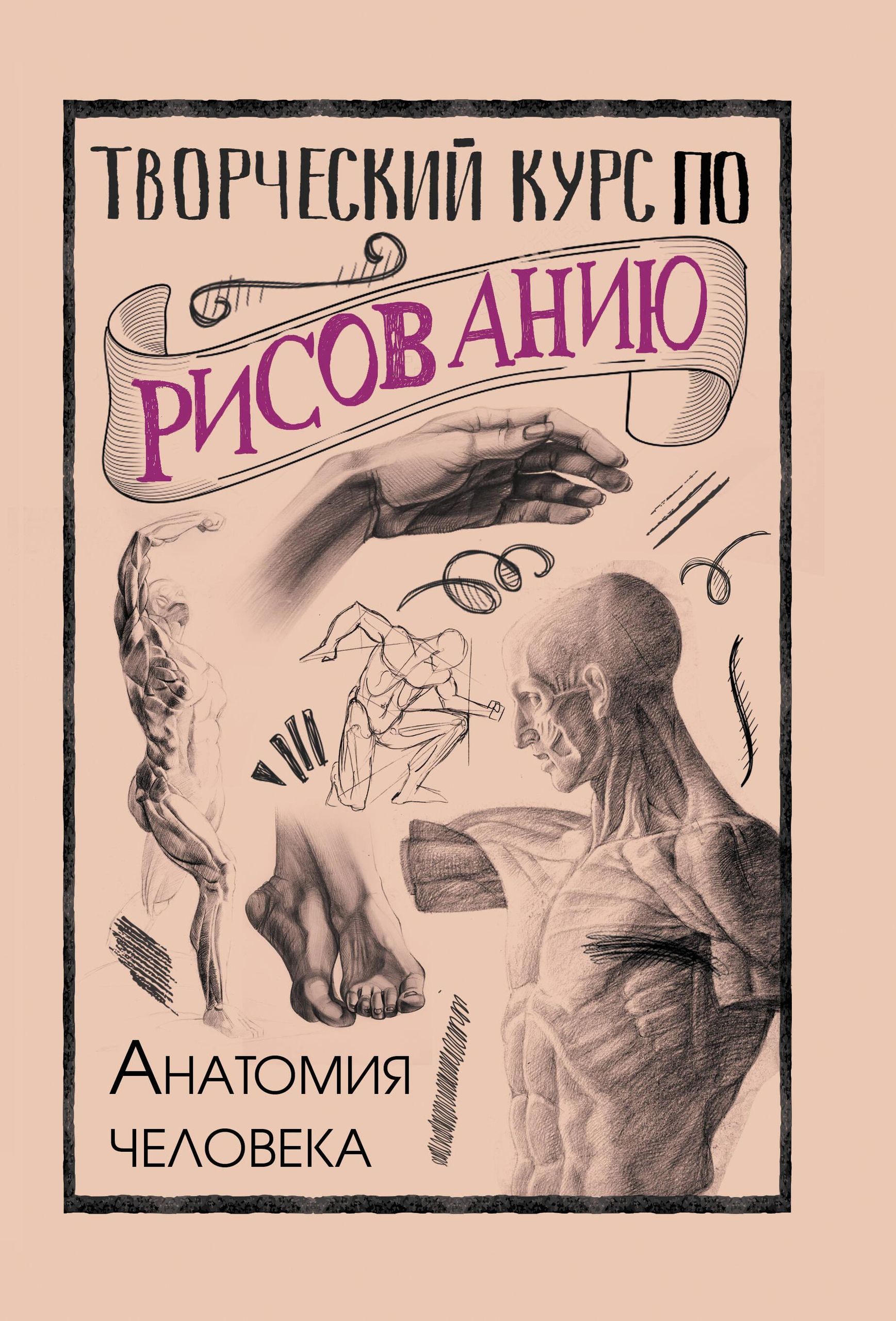 Творческий курс по рисованию. Анатомия человека | Creative Drawing Course: Human Anatomy - Ozon image 3