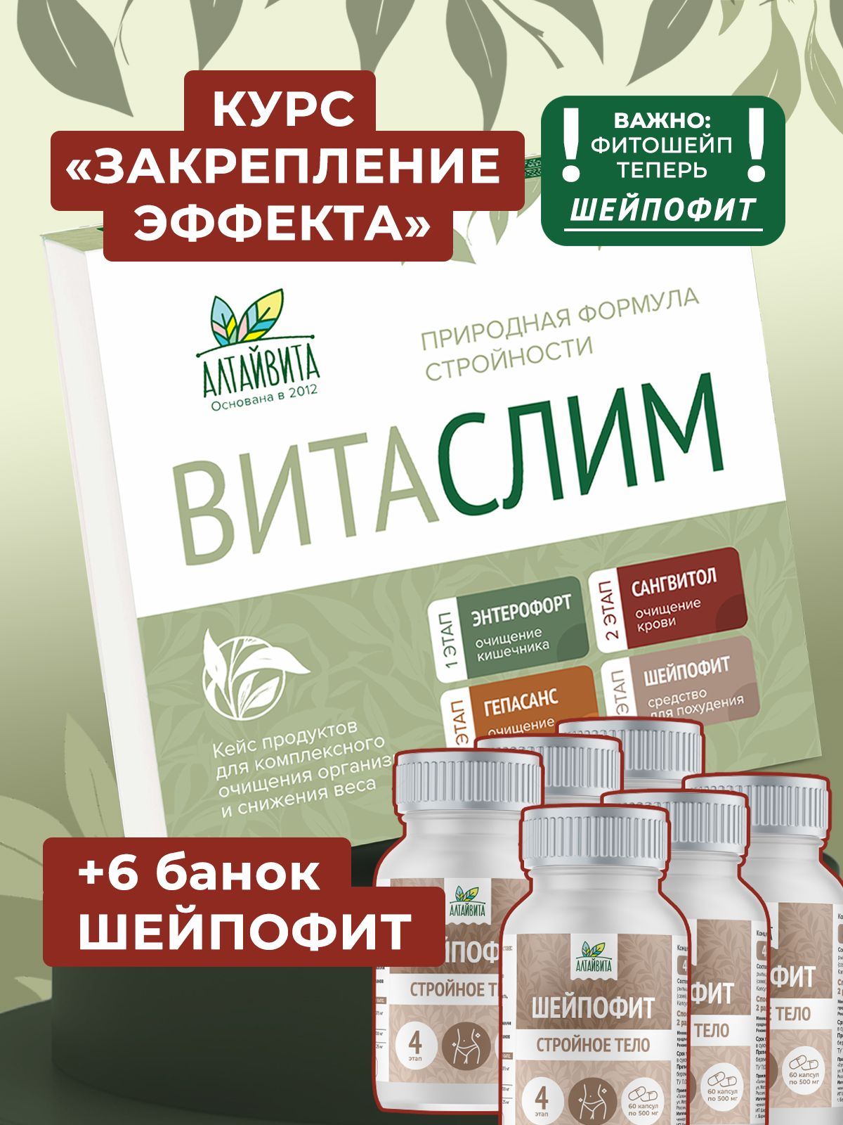 Витаслим кейс + 6 банок Шейпофит (Энтерофорт, Сангвитол, Гепасанс, 8 шт Шейпофит)