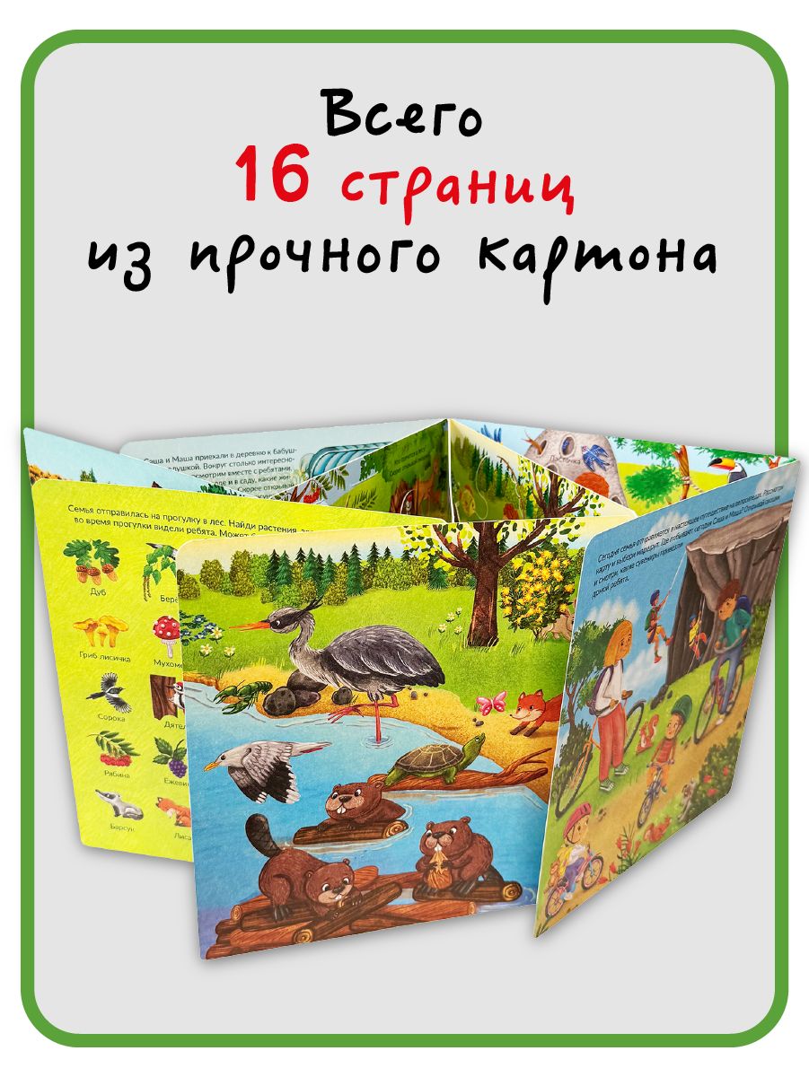 Детская книжка с окошками энциклопедия для малышей Виммельбух | Reference Book - Ozon image 3