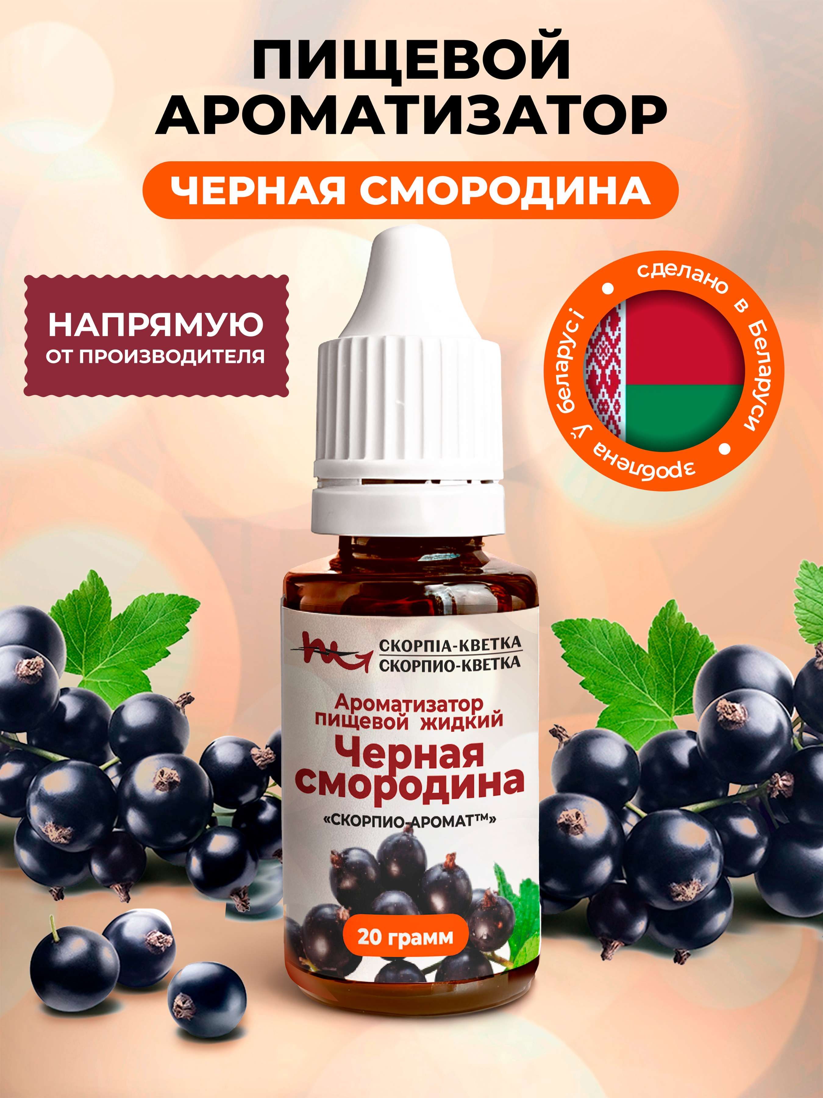 Ароматизатор пищевой Черная Смородина 20г