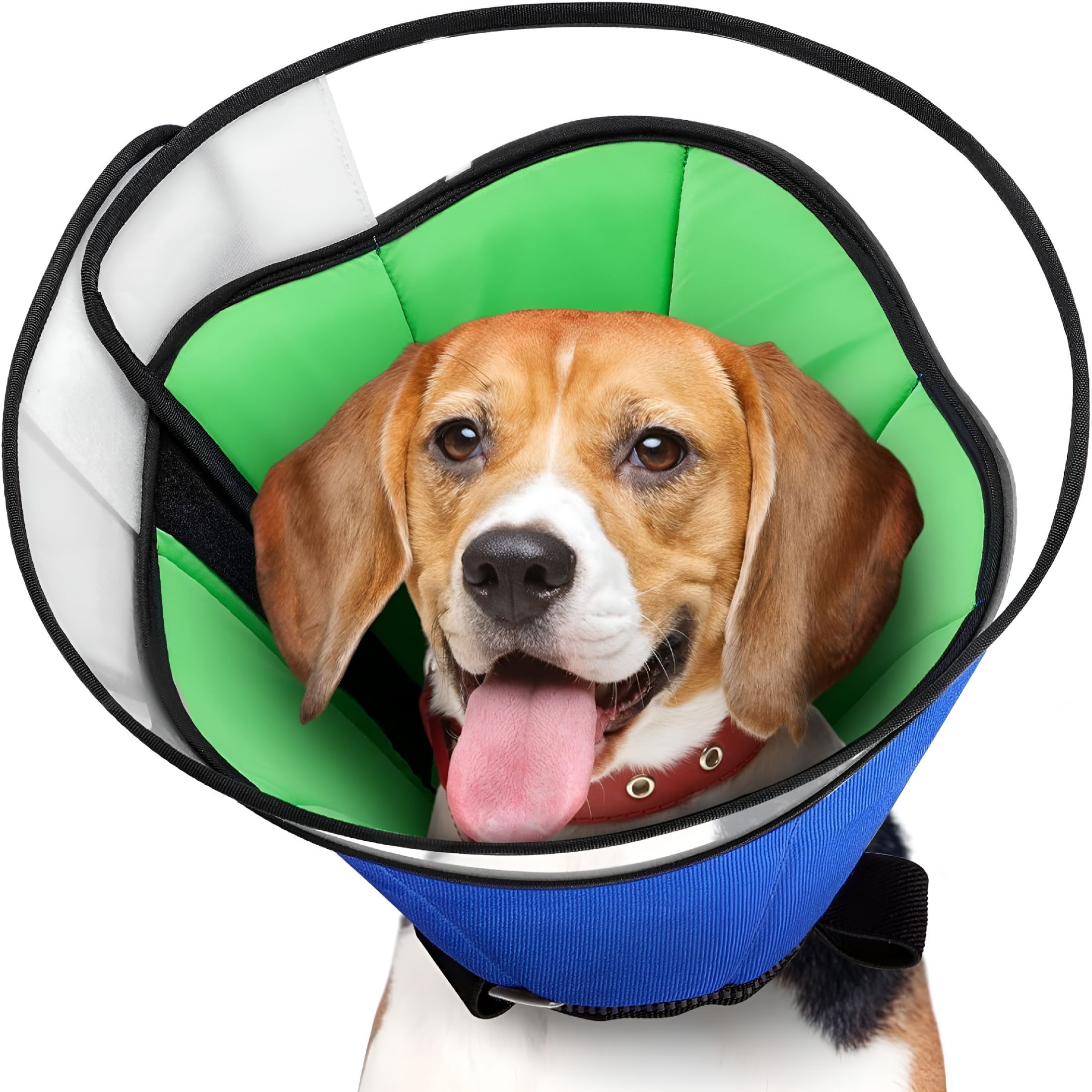 A Charlotte Inventor Reimagines the Post-Operative Pet Collar