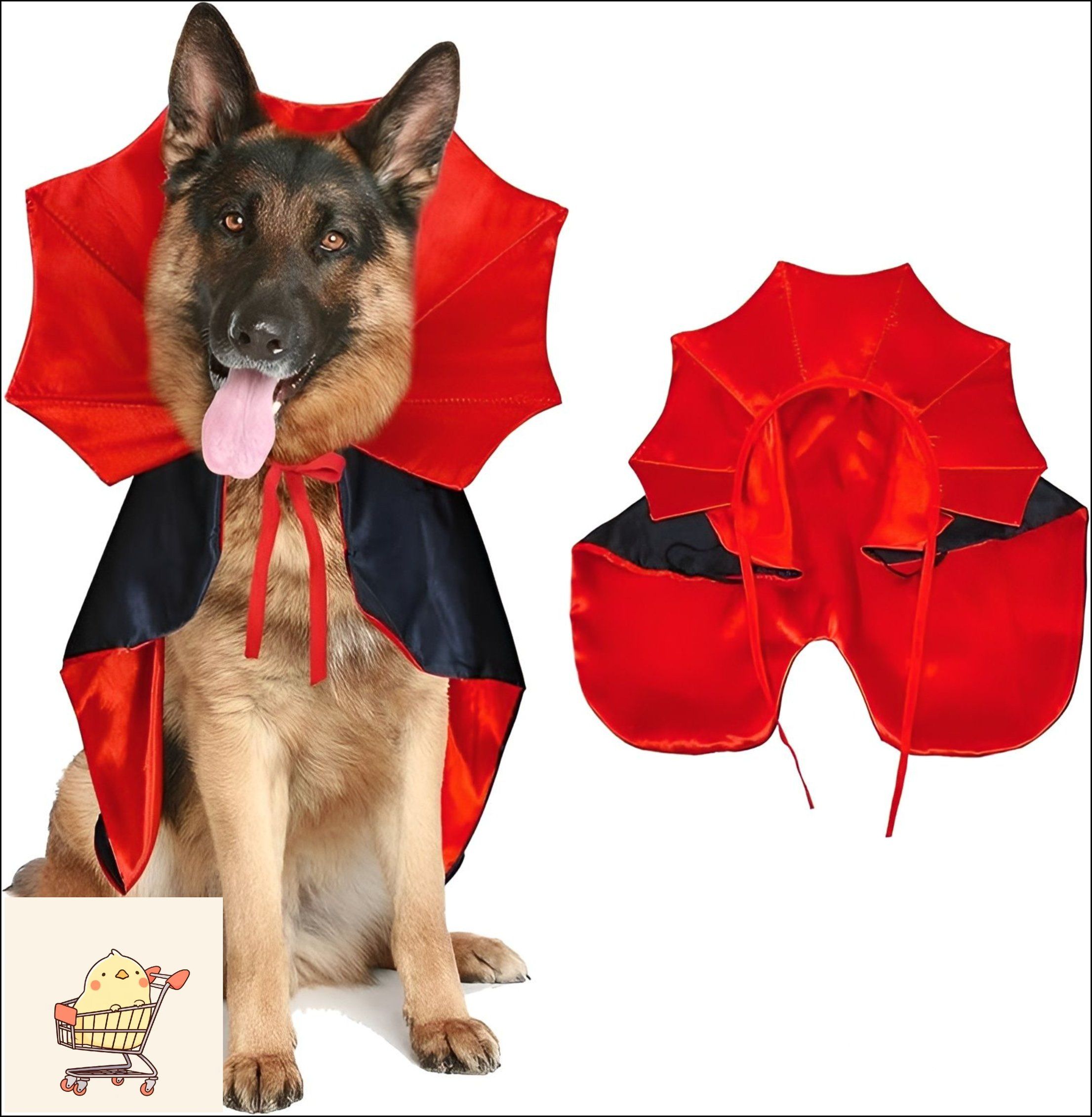 Rural King Hosts Pet-O-Ween Costume Contest for Pets and Livestock
