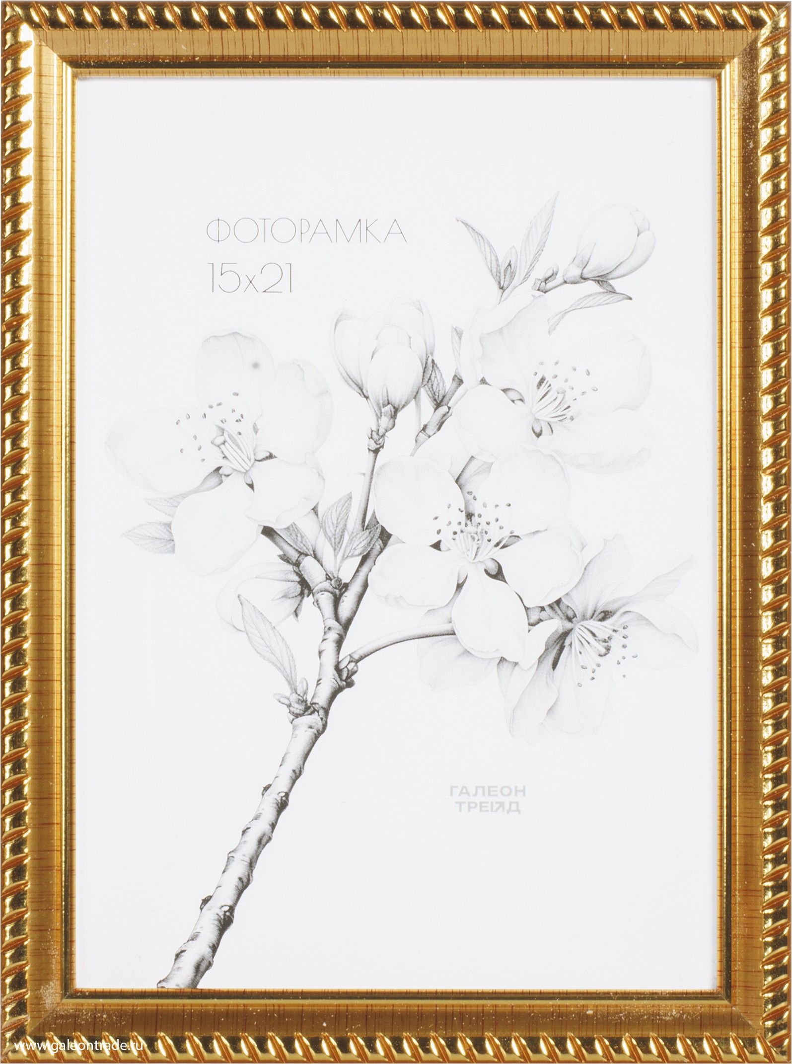 Фоторамка пластиковая 15 х 21 см, золотистая