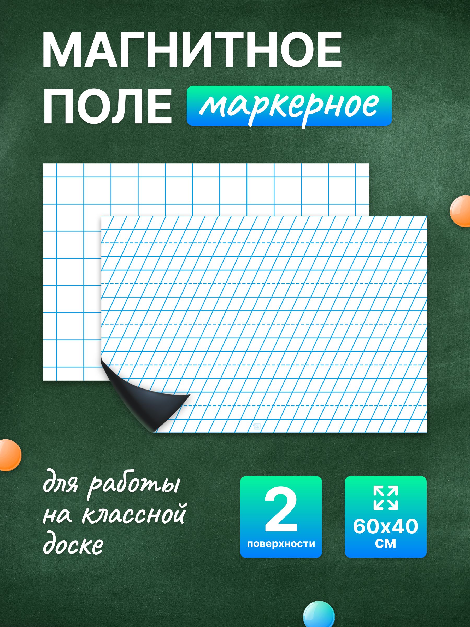 Разлиновка магнитная для школьной доски комплект, клетка + частая косая линия 60х40 см. WellKit