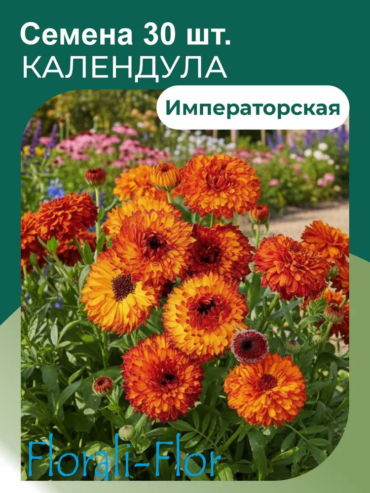 Календула Семена #1