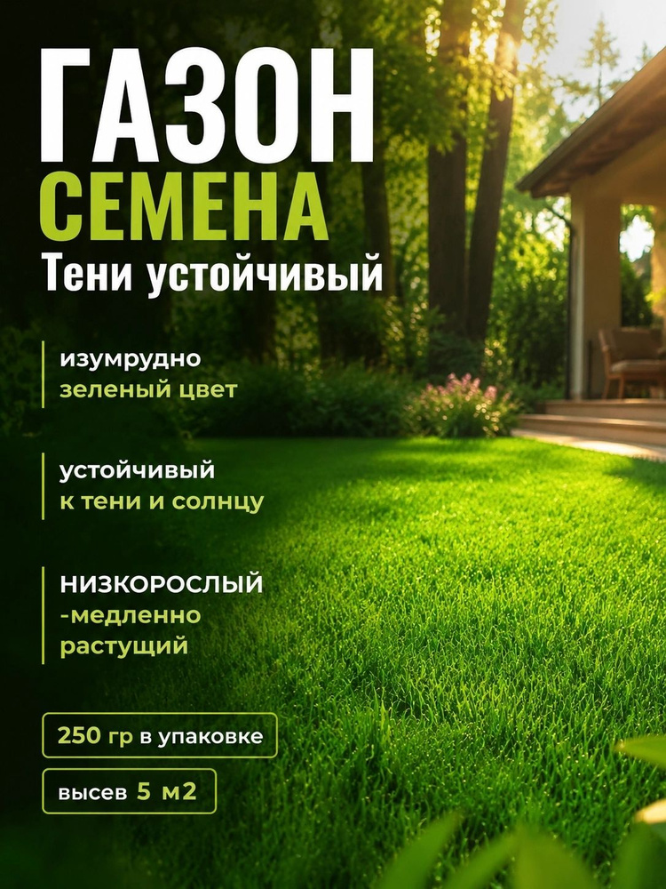 Семена #1