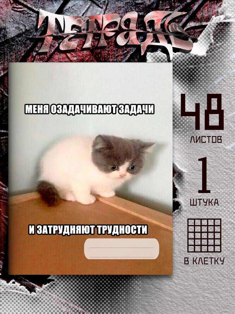 Тетрадь мем задачи и трудности, 48 листов #1