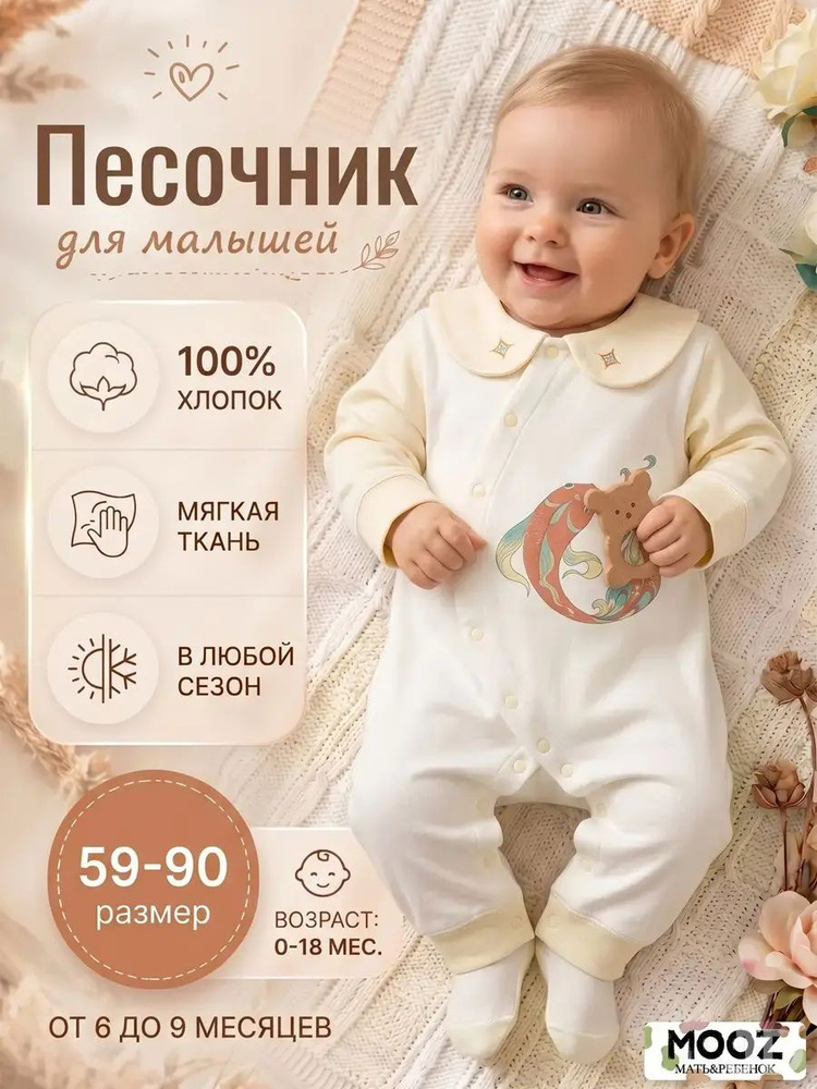 Боди #1