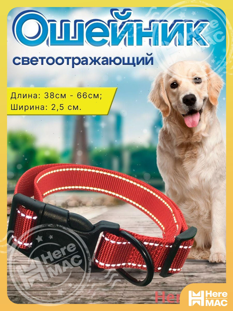 Ошейник HEREMAC #1