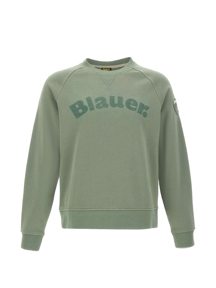 Толстовка Blauer #1