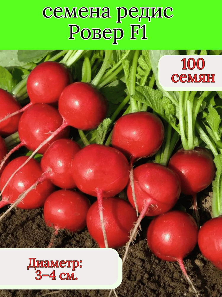 Семена #1