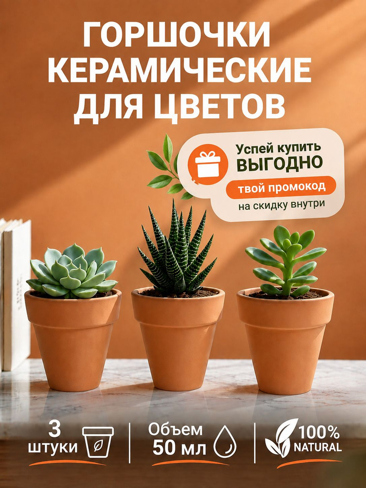 Горшки для цветов керамические глиняные, для суккулентов, кактусов, терракот, микро, 3 штуки #1