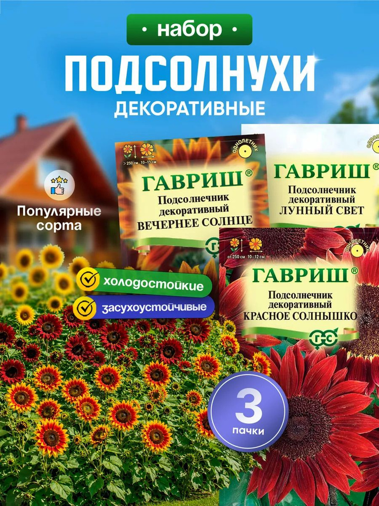 Семена подсолнуха на посадку #1