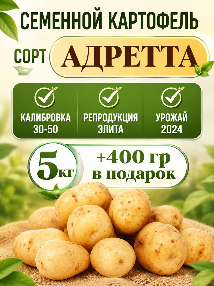 Семена #1