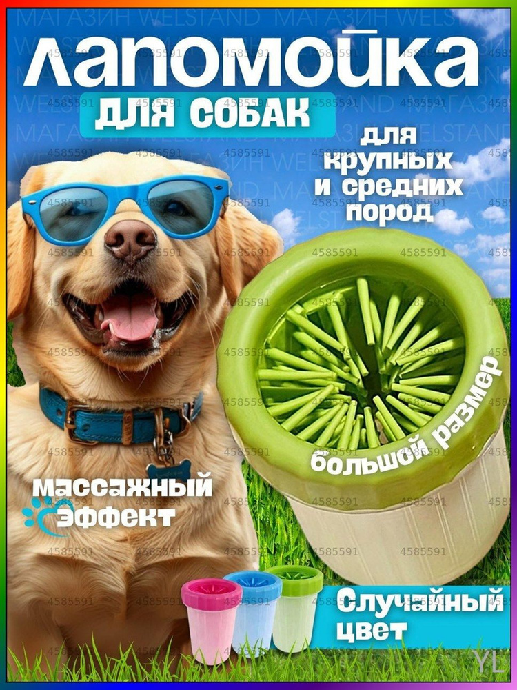 Лапомойка #1
