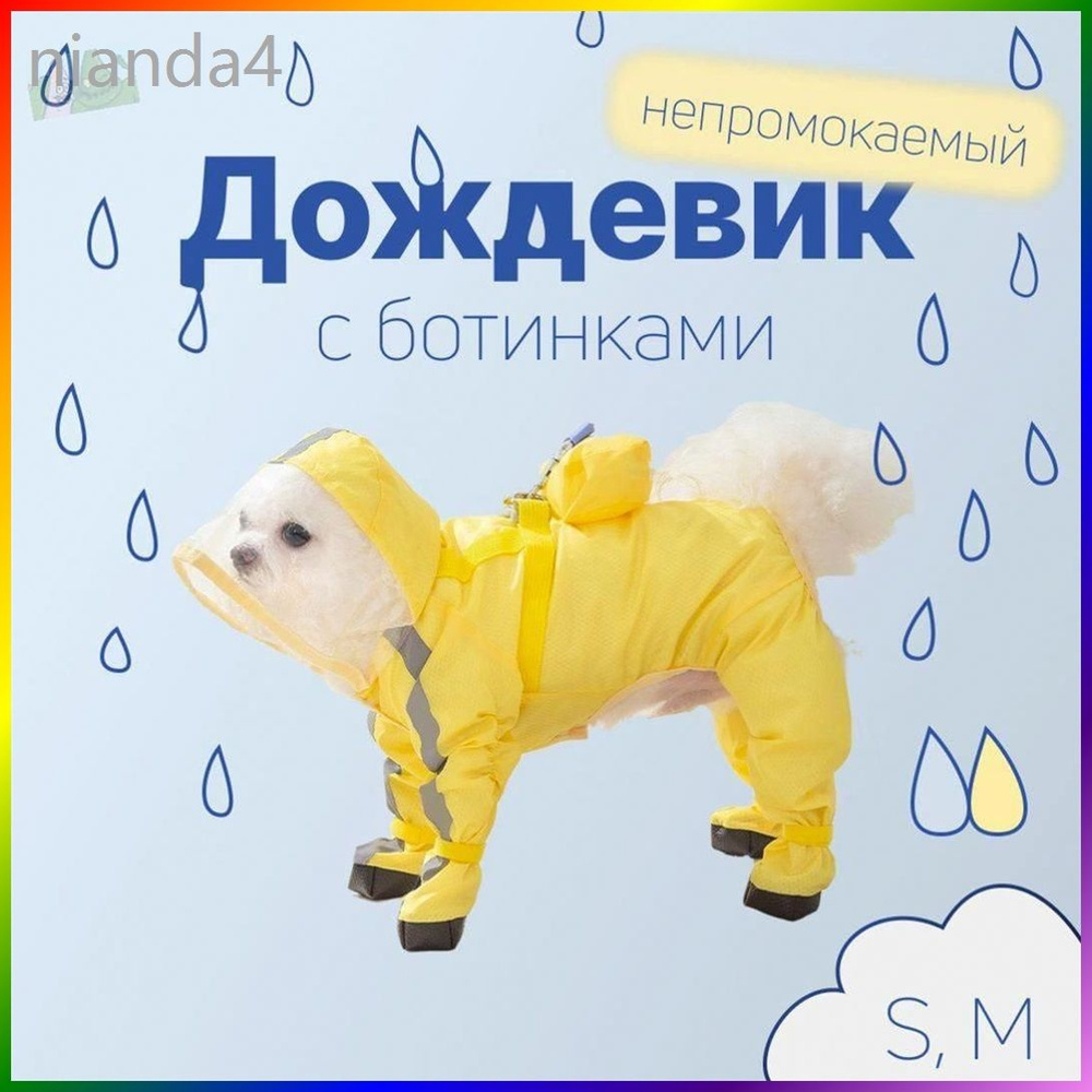 Одежда для животных #1