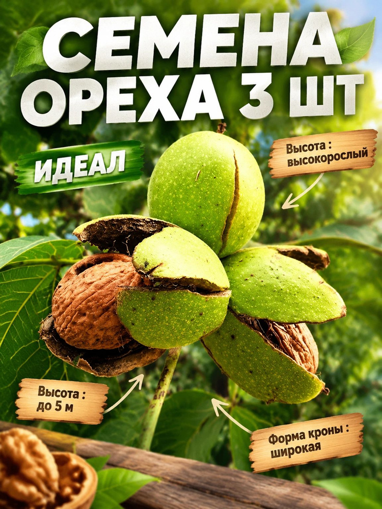 Семена ,3шт #1