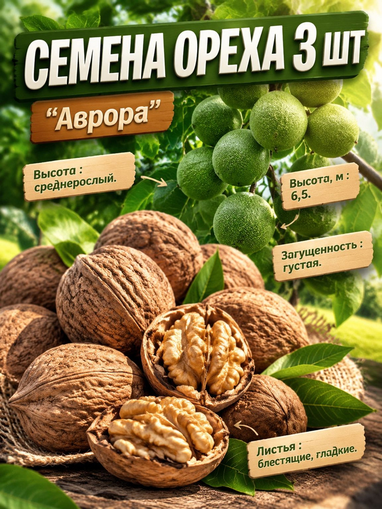 Семена ,3шт #1