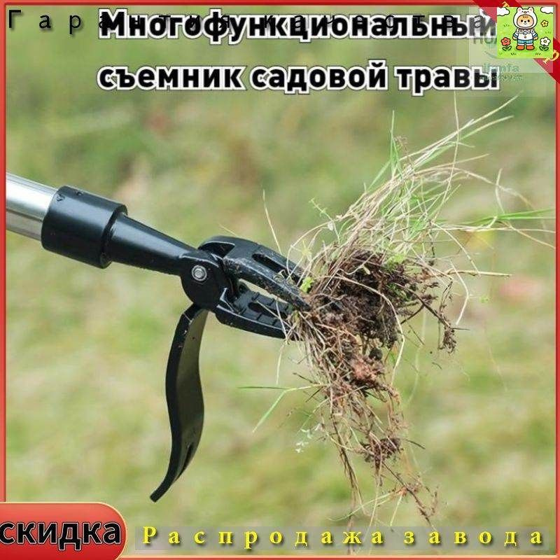 Кустодер чугун #1