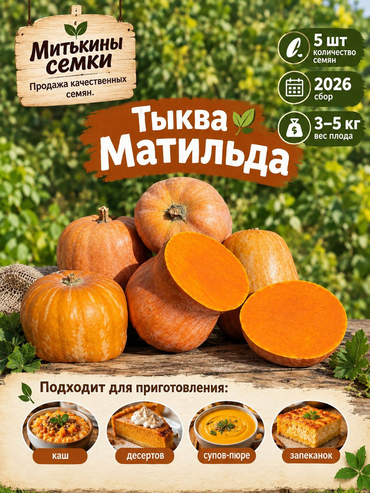 Тыква Матильда #1