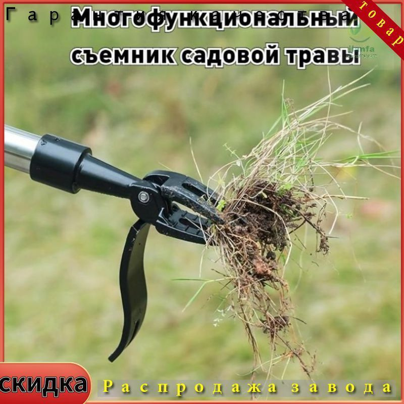 Кустодер чугун #1